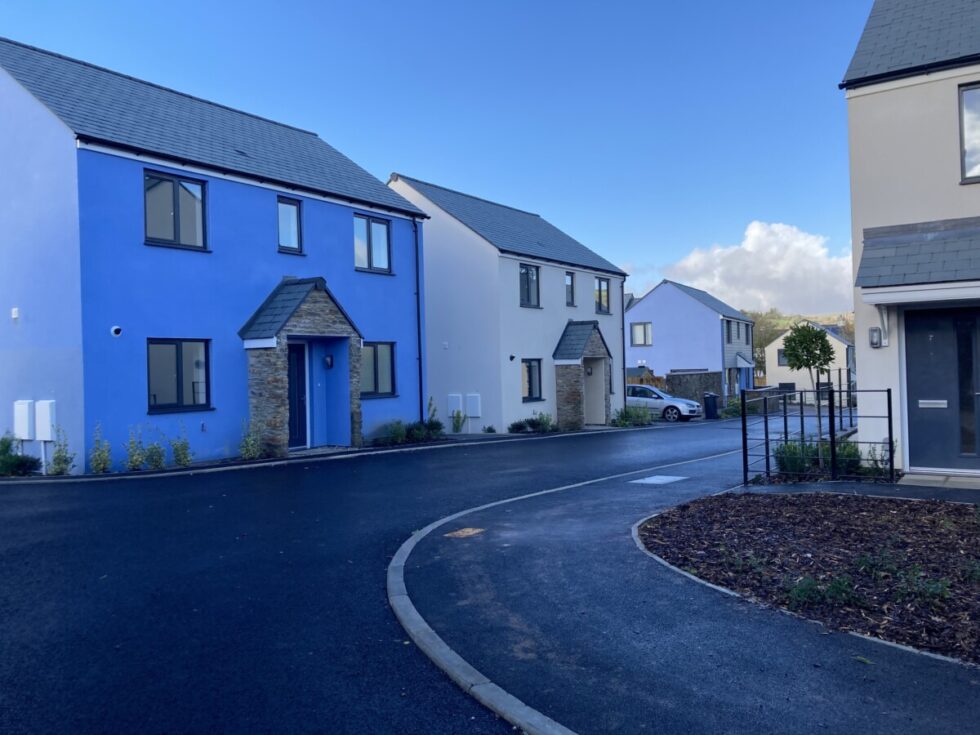 Our Work Taylor Lewis