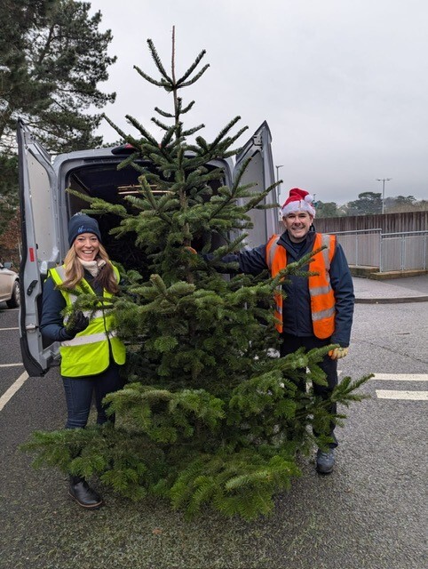 Hospiscare Christmas Tree Collection